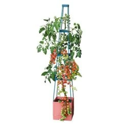 Garden Grow Self Watering Tomato Tower 11 Garden Grow Self Watering Tomato Tower -Bloom Haven Herbaceous Perennials Deals Store G2202 4 Tier Self Watering Tomato Tower CO with toms 2000x2000 1