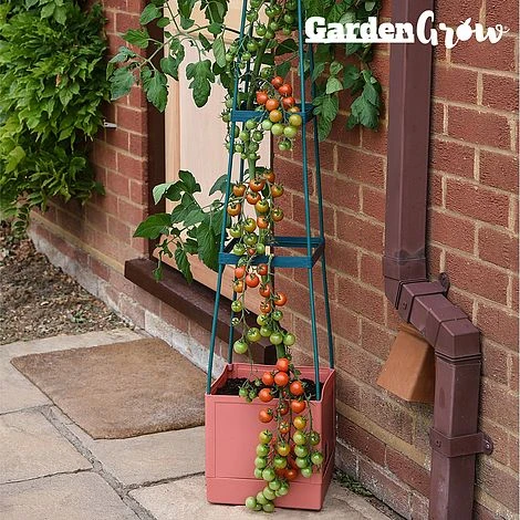 Garden Grow Self Watering Tomato Tower 1 Garden Grow Self Watering Tomato Tower