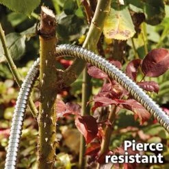 Easy Hose Stainless-steel Hose -Bloom Haven Herbaceous Perennials Deals Store G2235207202000x2000