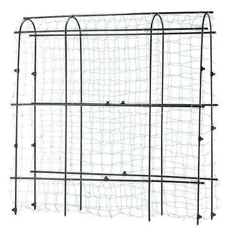 Garden Gear Pea & Bean Tunnel 1.8 X 1.8m 4 Garden Gear Pea & Bean Tunnel 1.8 X 1.8m - Image 4