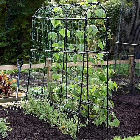 Garden Gear Pea & Bean Tunnel 1.8 X 1.8m 2 Garden Gear Pea & Bean Tunnel 1.8 X 1.8m - Image 2
