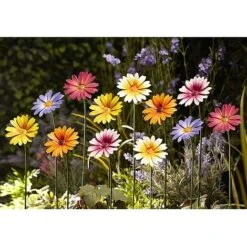 Garden Gear Metal Daisy Stake Set Of Six -Bloom Haven Herbaceous Perennials Deals Store G451620G451720METAL20DAISY20FLOWER20MULTI20GROUP201