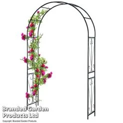Garden Gear 2.2M Metal Garden Arch -Bloom Haven Herbaceous Perennials Deals Store GARD ARCHSWIRL T47919