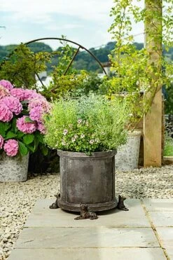 Antique Bronze Coloured German Shepherd Potty Feet - Plant Pot Feet 9 Antique Bronze Coloured German Shepherd Potty Feet - Plant Pot Feet -Bloom Haven Herbaceous Perennials Deals Store GERMAN20SHEPHERD20 20LIFESTYLE20220 20PF0067