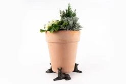 Antique Bronze Coloured German Shepherd Potty Feet - Plant Pot Feet 8 Antique Bronze Coloured German Shepherd Potty Feet - Plant Pot Feet -Bloom Haven Herbaceous Perennials Deals Store GERMAN20SHEPHERD20POT20 20120 20PF0067