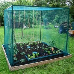 Walk In Heavy Duty Crop Cage & Plant Protection Grow House - 2x2x2m H -Bloom Haven Herbaceous Perennials Deals Store GHD NODOOR PIC7