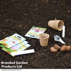 Mr Men Seed Grow Flower Kit 8 Mr Men Seed Grow Flower Kit -Bloom Haven Herbaceous Perennials Deals Store GKIT LITTLEMIS T49095