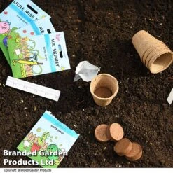 Mr Men Seed Grow Vegetable Kit 8 Mr Men Seed Grow Vegetable Kit -Bloom Haven Herbaceous Perennials Deals Store GKIT MRMEN T49099