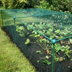 Build-a-Cage Modular Fruit & Vegetable Cage Kit - 0.625m High With Bird Mesh 13 Build-a-Cage Modular Fruit & Vegetable Cage Kit - 0.625m High With Bird Mesh -Bloom Haven Herbaceous Perennials Deals Store GLD 0.625PIC2