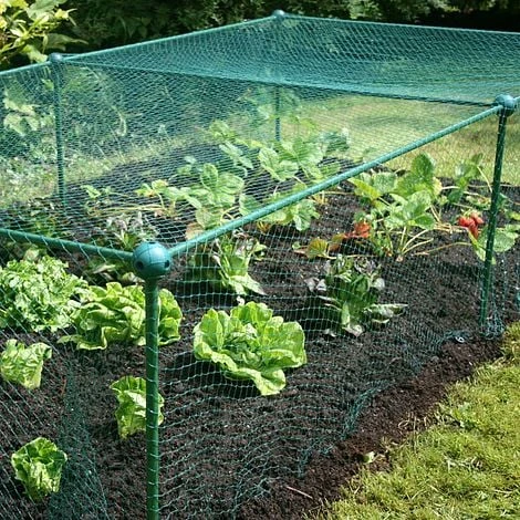 Build-a-Cage Modular Fruit & Vegetable Cage Kit - 0.625m High With Butterfly Mesh 3 Build-a-Cage Modular Fruit & Vegetable Cage Kit - 0.625m High With Butterfly Mesh - Image 3