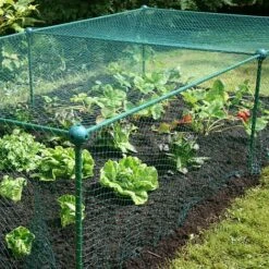 Build-a-Cage Modular Fruit & Vegetable Cage Kit - 0.625m High With Bird Mesh 16 Build-a-Cage Modular Fruit & Vegetable Cage Kit - 0.625m High With Bird Mesh -Bloom Haven Herbaceous Perennials Deals Store GLD 0.625PIC6