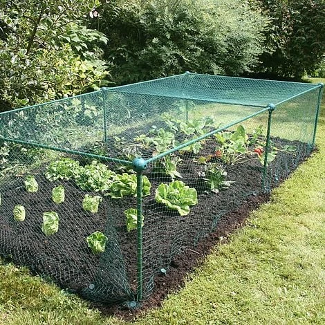 Build-a-Cage Modular Fruit & Vegetable Cage Kit - 0.625m High With Butterfly Mesh 2 Build-a-Cage Modular Fruit & Vegetable Cage Kit - 0.625m High With Butterfly Mesh - Image 2