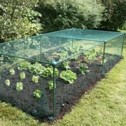 Build-a-Cage Modular Fruit & Vegetable Cage Kit - 0.625m High With Bird Mesh 11 Build-a-Cage Modular Fruit & Vegetable Cage Kit - 0.625m High With Bird Mesh -Bloom Haven Herbaceous Perennials Deals Store GLD 0.625PIC7