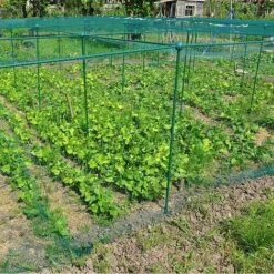 Build-a-Cage Modular Fruit & Vegetable Cage Kit - 1.25m High With Bird Mesh 13 Build-a-Cage Modular Fruit & Vegetable Cage Kit - 1.25m High With Bird Mesh -Bloom Haven Herbaceous Perennials Deals Store GLD 1.25PIC1 1
