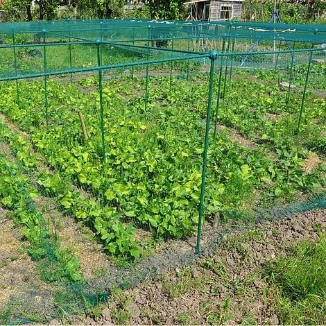 Build-a-Cage Modular Fruit & Vegetable Cage Kit - 1.25m High With Bird Mesh 6 Build-a-Cage Modular Fruit & Vegetable Cage Kit - 1.25m High With Bird Mesh - Image 6