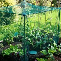 Build-a-Cage Modular Fruit & Vegetable Cage Kit - 1.25m High With Butterfly Mesh 11 Build-a-Cage Modular Fruit & Vegetable Cage Kit - 1.25m High With Butterfly Mesh -Bloom Haven Herbaceous Perennials Deals Store GLD 1.25PIC2