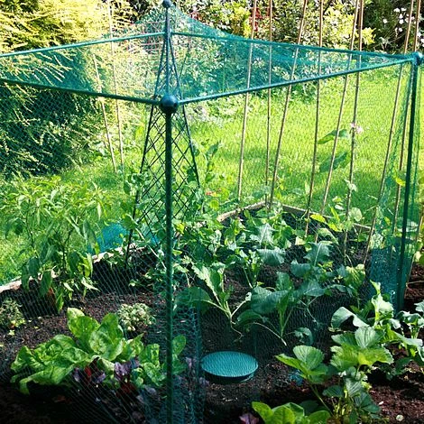 Build-a-Cage Modular Fruit & Vegetable Cage Kit - 1.25m High With Butterfly Mesh 4 Build-a-Cage Modular Fruit & Vegetable Cage Kit - 1.25m High With Butterfly Mesh - Image 4