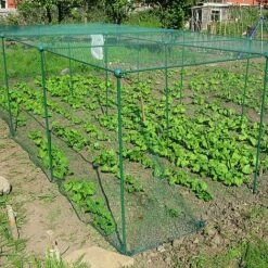 Build-a-Cage Modular Fruit & Vegetable Cage Kit - 1.25m High With Butterfly Mesh 14 Build-a-Cage Modular Fruit & Vegetable Cage Kit - 1.25m High With Butterfly Mesh -Bloom Haven Herbaceous Perennials Deals Store GLD 1.25PIC3