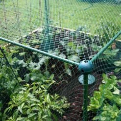 Build-a-Cage Modular Fruit & Vegetable Cage Kit - 1.25m High With Butterfly Mesh 10 Build-a-Cage Modular Fruit & Vegetable Cage Kit - 1.25m High With Butterfly Mesh -Bloom Haven Herbaceous Perennials Deals Store GLD 1.25PIC4
