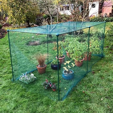 Build-a-Cage Modular Fruit & Vegetable Cage Kit - 1.25m High With Bird Mesh 2 Build-a-Cage Modular Fruit & Vegetable Cage Kit - 1.25m High With Bird Mesh - Image 2