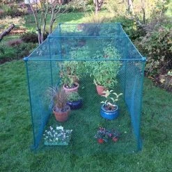 Build-a-Cage Modular Fruit & Vegetable Cage Kit - 1.25m High With Bird Mesh 15 Build-a-Cage Modular Fruit & Vegetable Cage Kit - 1.25m High With Bird Mesh -Bloom Haven Herbaceous Perennials Deals Store GLD 1.25PIC8 1