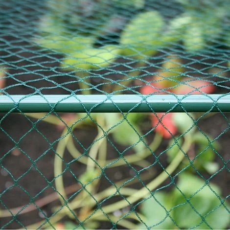 Build-a-Cage Modular Fruit & Vegetable Cage Kit - 1.875m High With Butterfly Mesh 6 Build-a-Cage Modular Fruit & Vegetable Cage Kit - 1.875m High With Butterfly Mesh - Image 6