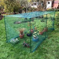 Build-a-Cage Modular Fruit & Vegetable Cage Kit - 1.875m High With Bird Mesh -Bloom Haven Herbaceous Perennials Deals Store GLD 1.875PIC4 1