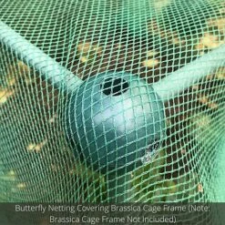 Soft Butterfly Mesh Netting For Cabbages Brassicas & Plants - 4m Wide -Bloom Haven Herbaceous Perennials Deals Store GLD20BUILD20A20CAGE20PIC20100020x100020850kb