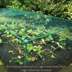 Bird Block Soft Bird Mesh Netting For Fruit Veg & Plants - 4m Wide -Bloom Haven Herbaceous Perennials Deals Store GLD20Build20a20Cage201000x100020840kb
