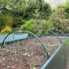 Garden Cloche Hoops For Netting Plant Protection & Support (0.85 W X 0.35m H)