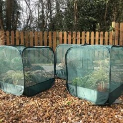 MiniPop Pop-Up Mini Plant & Seedling Cover - 50x50x50cm -Bloom Haven Herbaceous Perennials Deals Store GPN050 01P 1000x1000 1