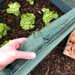 Pop Up Strawberry & Salad Fruit Cage Plant Cover 7 Pop Up Strawberry & Salad Fruit Cage Plant Cover -Bloom Haven Herbaceous Perennials Deals Store GPN100 02PIC3