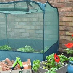 Pop Up Strawberry & Salad Fruit Cage Plant Cover 9 Pop Up Strawberry & Salad Fruit Cage Plant Cover -Bloom Haven Herbaceous Perennials Deals Store GPN100 02PIC5