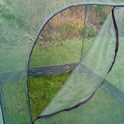 Pop Up Cabbage & Brassica Vegetable Cage Plant Cover -Bloom Haven Herbaceous Perennials Deals Store GPN100 05PIC2