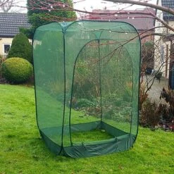 Pop Up Raspberry Fruit Cage & Plant Cover -Bloom Haven Herbaceous Perennials Deals Store GPN100 08PIC3