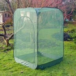 Pop Up Raspberry Fruit Cage & Plant Cover -Bloom Haven Herbaceous Perennials Deals Store GPN100 08PIC6