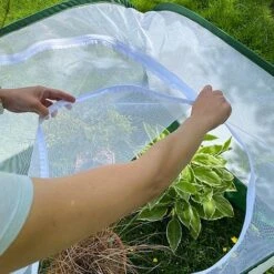 Pop Up Insect Net Fruit Cage & Vegetable Protection Cover 9 Pop Up Insect Net Fruit Cage & Vegetable Protection Cover -Bloom Haven Herbaceous Perennials Deals Store GPN100 092020125 09201000X100020773KB