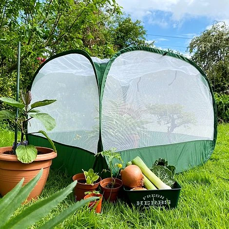 Pop Up Insect Net Fruit Cage & Vegetable Protection Cover 1 Pop Up Insect Net Fruit Cage & Vegetable Protection Cover