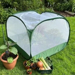 Pop Up Insect Net Fruit Cage & Vegetable Protection Cover 8 Pop Up Insect Net Fruit Cage & Vegetable Protection Cover -Bloom Haven Herbaceous Perennials Deals Store GPN100 092020125 09201000X100020847KB