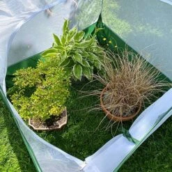 Pop Up Insect Net Fruit Cage & Vegetable Protection Cover 10 Pop Up Insect Net Fruit Cage & Vegetable Protection Cover -Bloom Haven Herbaceous Perennials Deals Store GPN100 092020125 09201000X100020907KB