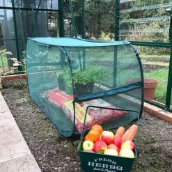 Pop Up Protection Cover For Grow Bags 9 Pop Up Protection Cover For Grow Bags -Bloom Haven Herbaceous Perennials Deals Store GPN100 1020GROW20BAG20CAGE201000X100020920KB