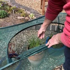 Pop-Up Garden Plant Cover For Pots Planters & Grow Bag Crops -Bloom Haven Herbaceous Perennials Deals Store GPN100 15201000X100020946KB