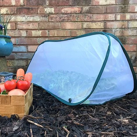 Pop Up Mini Insect Mesh Grow Tunnel & Veg Bed Cover 3 Pop Up Mini Insect Mesh Grow Tunnel & Veg Bed Cover - Image 3