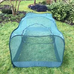 Giant Pop Up Fruit Cage & Plant Protection Cover -Bloom Haven Herbaceous Perennials Deals Store GPN100 50PIC1