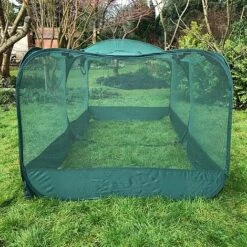 Giant Pop Up Fruit Cage & Plant Protection Cover -Bloom Haven Herbaceous Perennials Deals Store GPN100 50PIC2