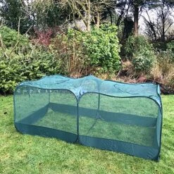Giant Pop Up Fruit Cage & Plant Protection Cover -Bloom Haven Herbaceous Perennials Deals Store GPN100 50PIC4