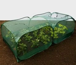 Giant Pop Up Fruit Cage & Plant Protection Cover -Bloom Haven Herbaceous Perennials Deals Store GPN100 50PIC6