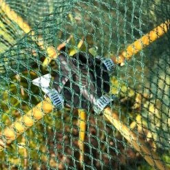 Bamboo Cane & Plant Stick Connector Balls - Pk 8 -Bloom Haven Herbaceous Perennials Deals Store GSK2025PIC2