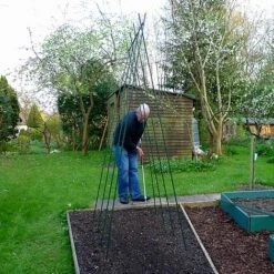 Easy Grow Runner Bean Frame & Climbing Plant Support Trellis - 0.75 X 1.2 X 2.4m H -Bloom Haven Herbaceous Perennials Deals Store GSK2156PIC3