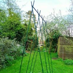 Easy Grow Runner Bean Frame & Climbing Plant Support Trellis - 0.75 X 1.2 X 2.4m H -Bloom Haven Herbaceous Perennials Deals Store GSK2156PIC4